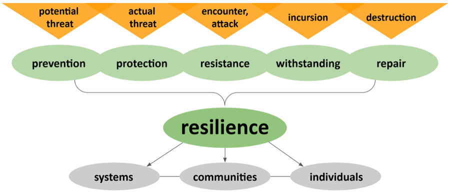 Graphical model depicting the various forms of threats and aspects of resilience.